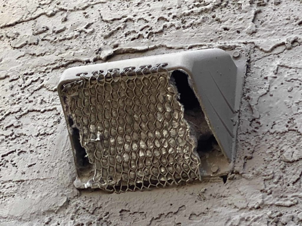 clogged dryer vent exhaust cover on an exterior wall